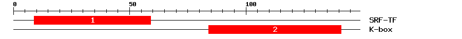 Signature Domain