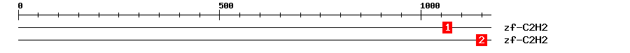 Signature Domain