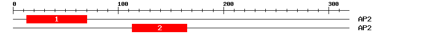Signature Domain