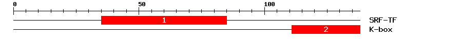 Signature Domain