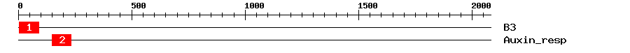 Signature Domain