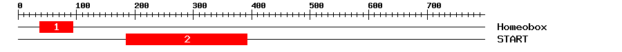 Signature Domain