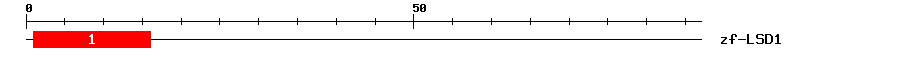 Signature Domain