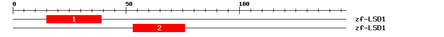 Signature Domain