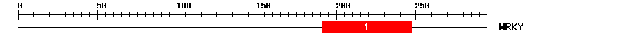 Signature Domain
