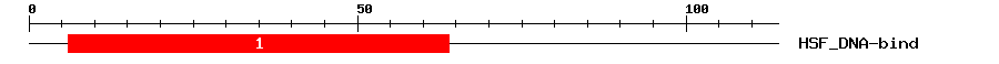 Signature Domain
