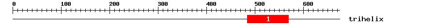 Signature Domain