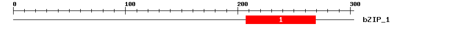 Signature Domain