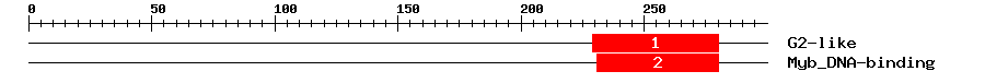 Signature Domain