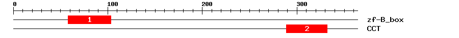Signature Domain