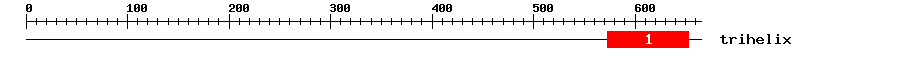 Signature Domain