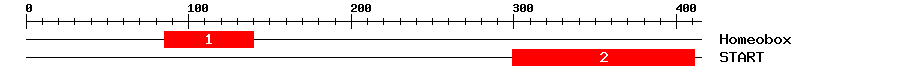 Signature Domain