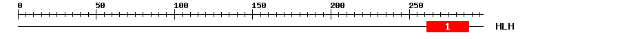 Signature Domain