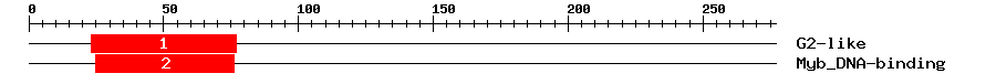 Signature Domain