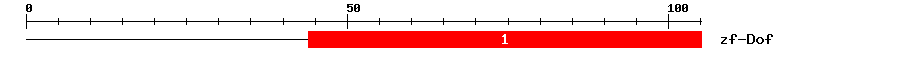 Signature Domain
