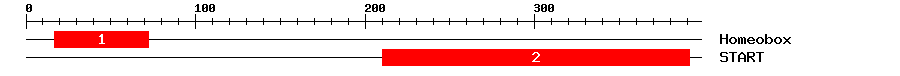Signature Domain