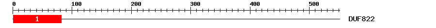 Signature Domain