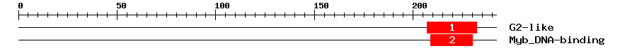 Signature Domain