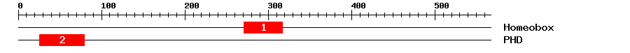 Signature Domain