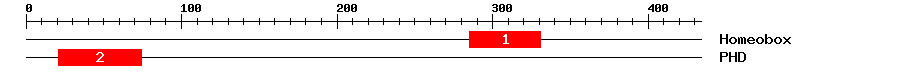Signature Domain