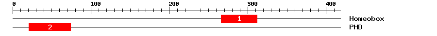 Signature Domain