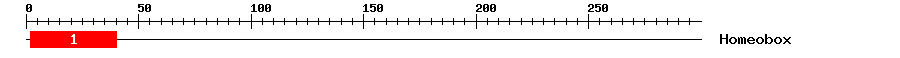 Signature Domain