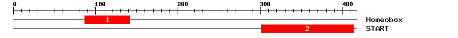 Signature Domain