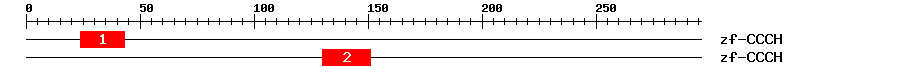 Signature Domain