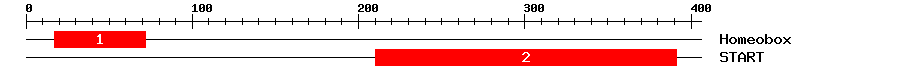 Signature Domain