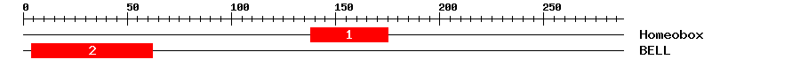 Signature Domain