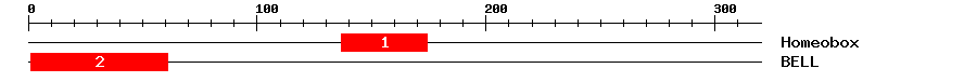 Signature Domain