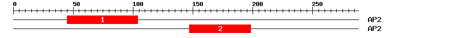 Signature Domain