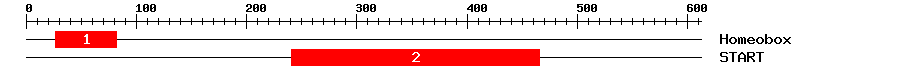 Signature Domain
