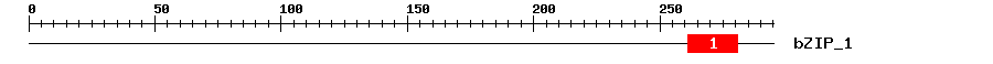 Signature Domain