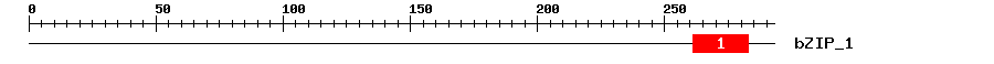 Signature Domain