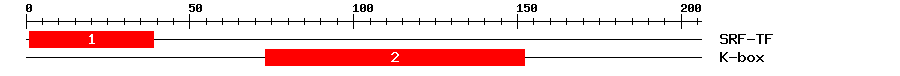 Signature Domain