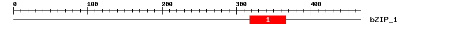 Signature Domain