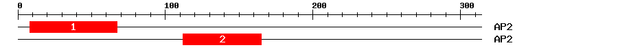 Signature Domain