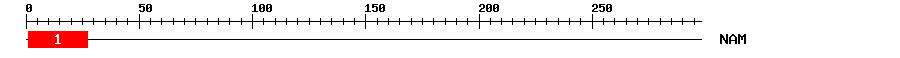 Signature Domain