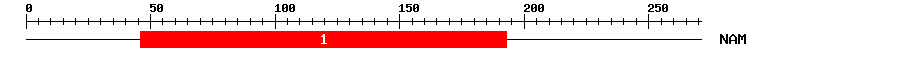 Signature Domain