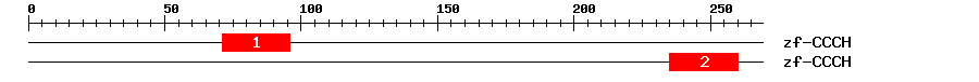Signature Domain