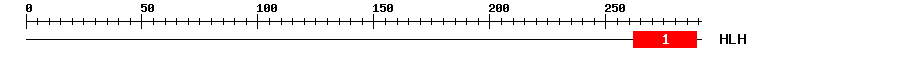 Signature Domain