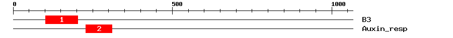 Signature Domain