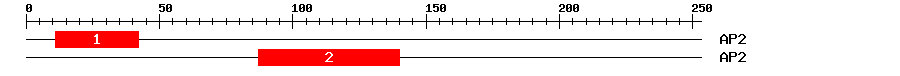 Signature Domain