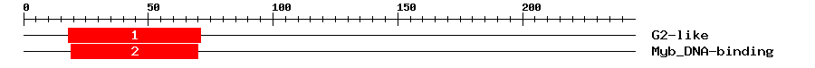 Signature Domain