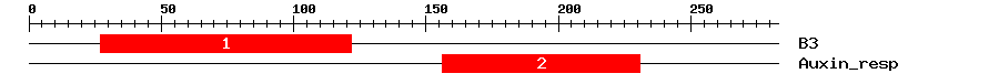 Signature Domain