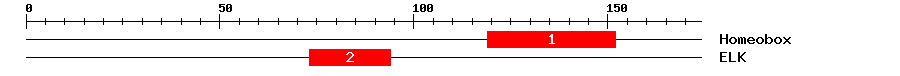 Signature Domain