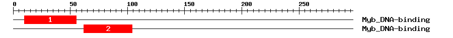 Signature Domain