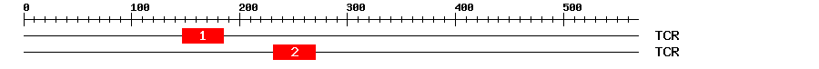 Signature Domain