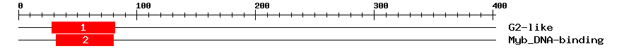 Signature Domain